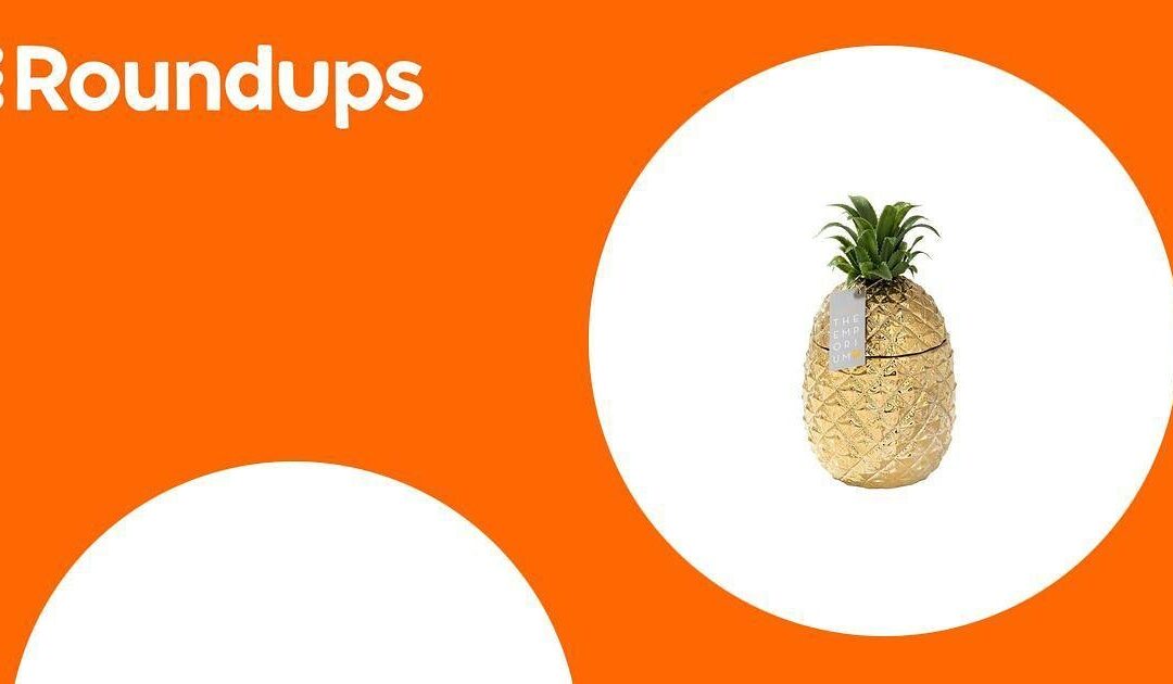 Die 10 besten Eiswürfelbehälter auf Amazon